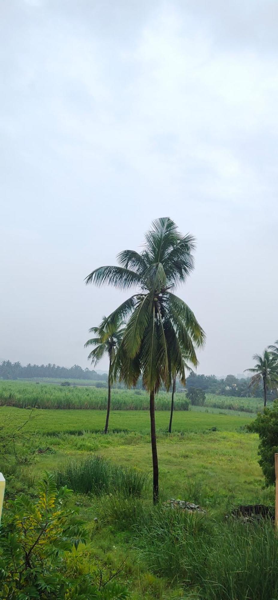 Raj Homestay Hampi Kültér fotó